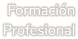 Formación Profesional